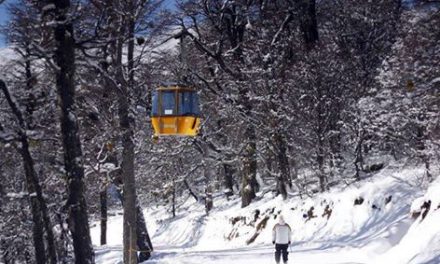 ¿Cuando volves al Camino del Bosque de Cerro Catedral – Catedral Alta Patagonia?…