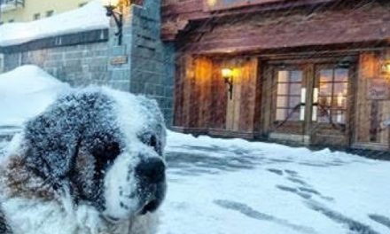 ¿Ya esquiaste en @skiportillo ? ⛷Este centro de ski boutique ubicado a 160km de…