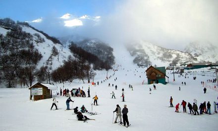 La temporada de esquí con todo en @termasdechillan !!!Hermosa postal del bosque…